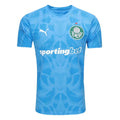 Palmeiras Goalkeeper 2025/26 - Blue Fan Version