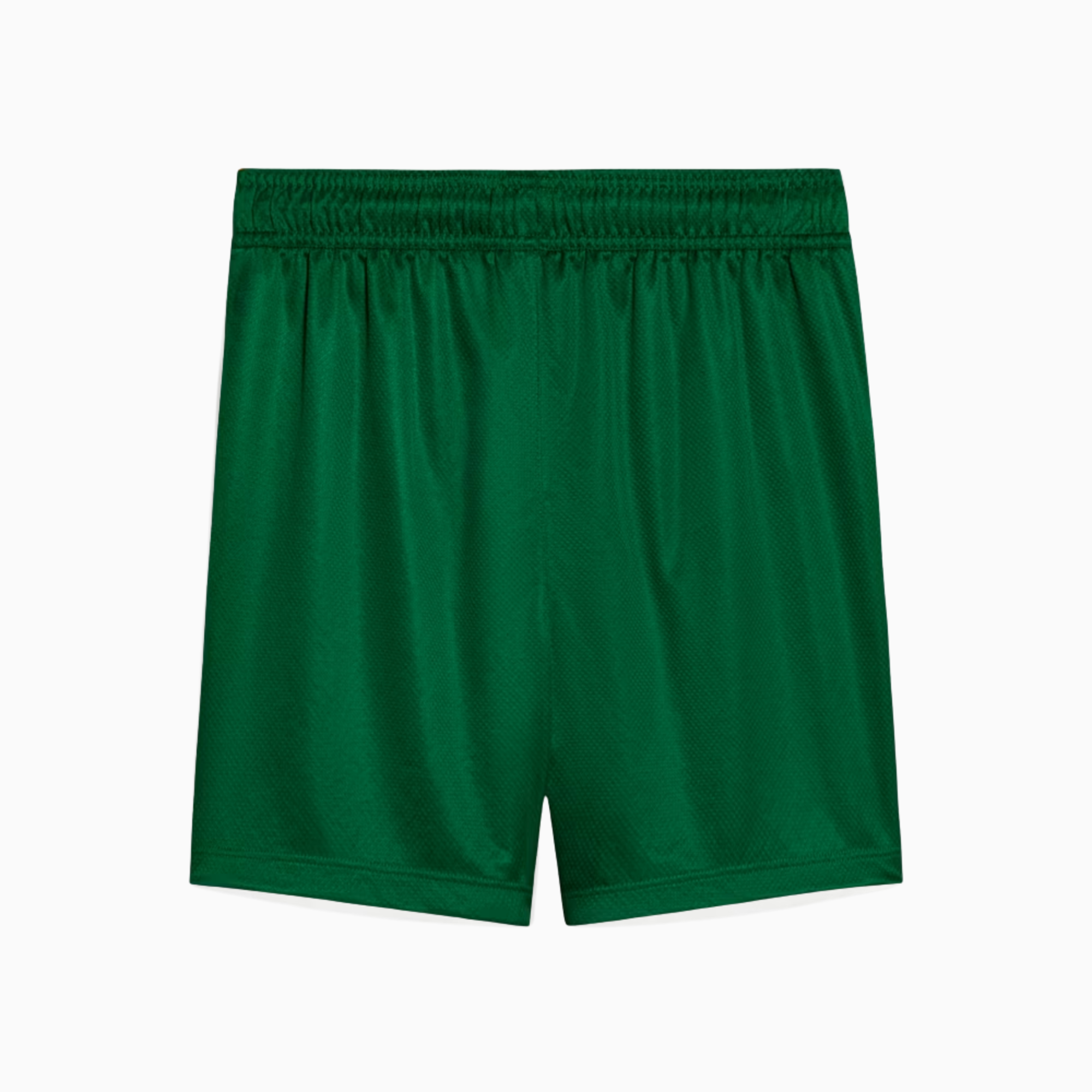 Shorts Palmeiras 2025 II – Fan Version