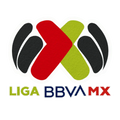 Patch Liga MX Participation