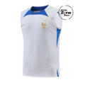 France Training Regata White - Fan Jersey