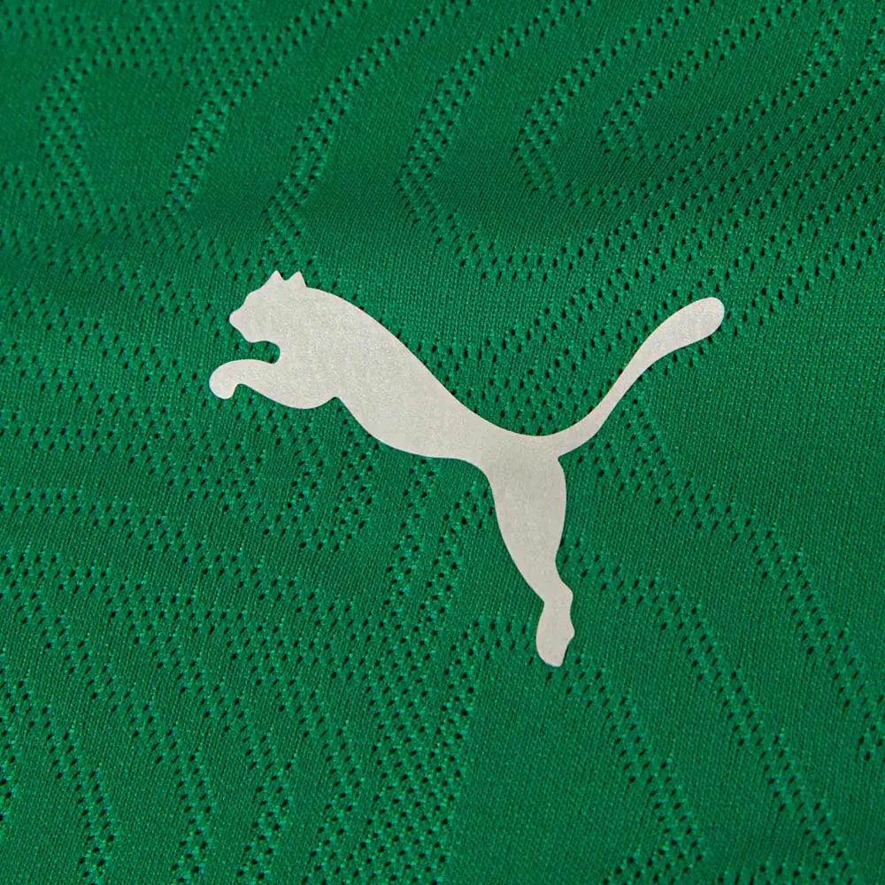 Jersey Fluminense Training Sport Green 2026
